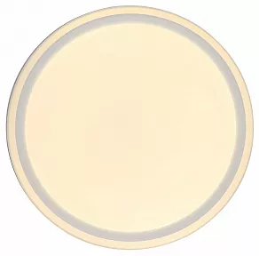 Накладной светильник Zortes BELLA ZRS.1200.04