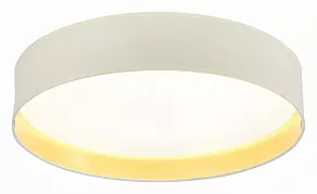 Накладной светильник EVOLUCE Brescia SLE300552-01