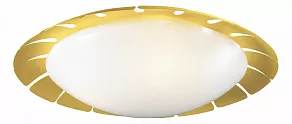 Накладной светильник Odeon Light Zita 2753/3C
