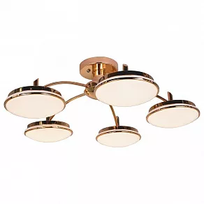 Потолочная люстра F-promo Ledante 2473-5P