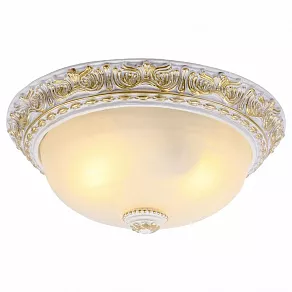 Накладной светильник Arte Lamp Torta A7121PL-2WG