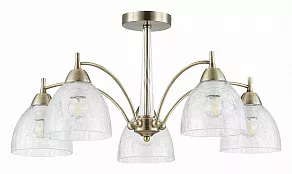 Люстра на штанге EVOLUCE Nuele SLE104402-05