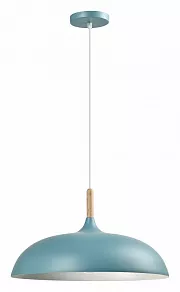 Подвесной светильник Moderli Hygo V10655-1P