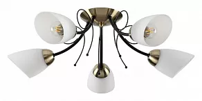 Потолочная люстра Lumion Eliana 4592/5C