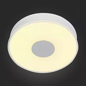 Накладной светильник ST-Luce Semplicita SL473.052.01
