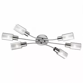 Потолочная люстра Odeon Light Hales 2613/6C