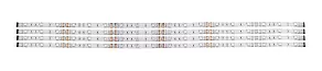 Комплект с лентой светодиодной Eglo Led Stripes-Flex 92054