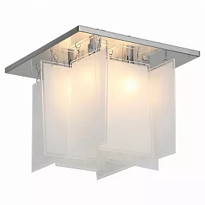 Накладной светильник ST-Luce Insolito SL794.102.04