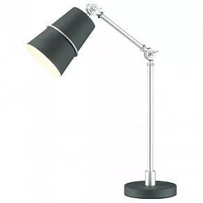 Настольная лампа офисная Odeon Light Carlos 4154/1T