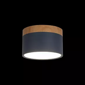 Накладной светильник Loft it Grape 10162 Blue