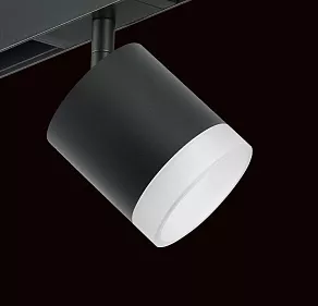 Светильник на штанге Lightstar Rullo PRO348780