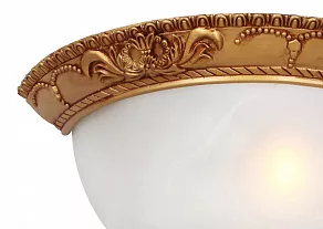 Накладной светильник Favourite Plafond 1447-1W