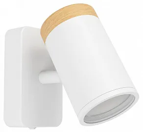 Спот Eglo CONSUMA 300003