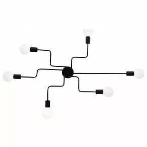 Потолочная люстра EVOLUCE Ano SL419.442.06