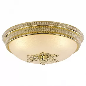 Накладной светильник Arte Lamp Vassolo A9205PL-3GO