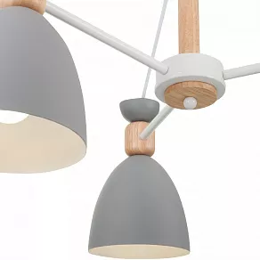 Люстра на штанге Freya Delia FR5033CL-05W