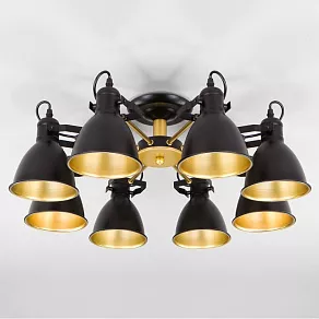 Люстра на штанге Eurosvet Denley 70112/8 черный