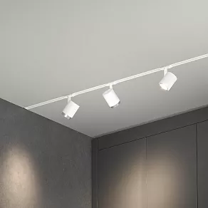 Светильник на штанге Elektrostandard Cors 85513/01