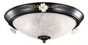 Накладной светильник Odeon Light Bone 2693/3C