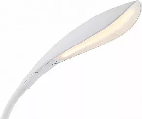 Настольная лампа офисная Globo Shannon 58242