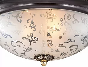 Накладной светильник Odeon Light Corbea 2671/3C
