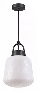 Подвесной светильник Novotech Conte 370601