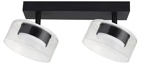 Светильник на штанге Arte Lamp ALIUS A8042PL-2BK
