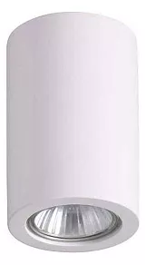 Накладной светильник Odeon Light Gips 3553/1C
