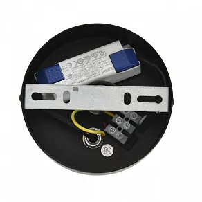 Подвесной светильник Lumion CAMOMILE 8301/10L