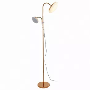 Торшер с подсветкой ST-Luce Pratico SLE120.205.02