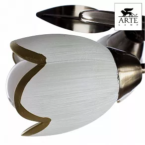 Потолочная люстра Arte Lamp Perce A6061PL-4AB