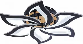 Люстра на штанге Rivoli Cassandra 6194-733