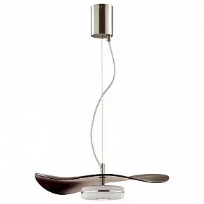 Подвесной светильник Odeon Light Fluent 4857/13L