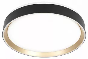 Накладной светильник Citilux BOSS CL751351G
