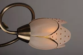 Потолочная люстра Omnilux OM-379 OML-37907-03