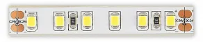Лента светодиодная ST-Luce  ST1001.410.65.2