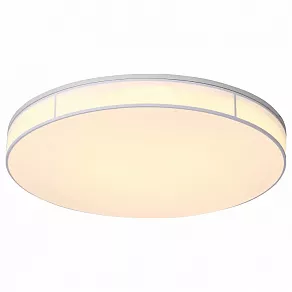 Накладной светильник ST-Luce Fella SL417.512.01