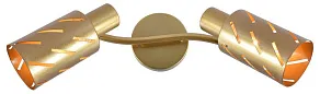 Спот Reluce 05970 05970-0.8-02 GOLD