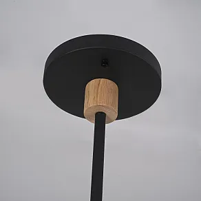 Люстра на штанге Imperiumloft TURNA Black TURNA-DBL01