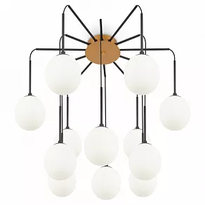 Потолочная люстра Maytoni Branch MOD176PL-12G