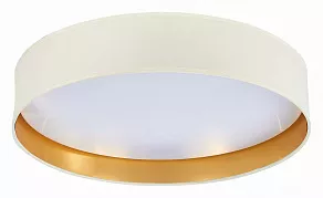 Накладной светильник EVOLUCE Brescia SLE300552-01
