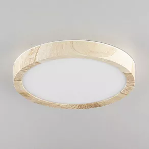 Накладной светильник Citilux Бейсик CL738122N