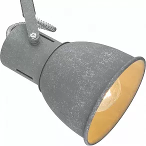 Спот Arte Lamp 1677 A1677PL-2GY