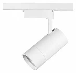 Светильник на штанге Lightstar Volta 229436