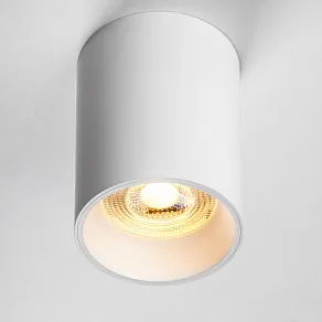 Накладной светильник Lightstar Rullo 213436