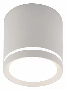 Накладной светильник Denkirs DK4016 DK4013-WH