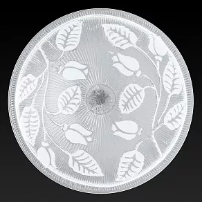 Накладной светильник TopLight Alexandra TL9121Y-02WH