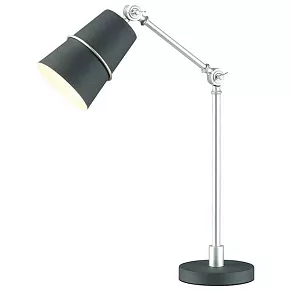 Настольная лампа офисная Odeon Light Carlos 4154/1T