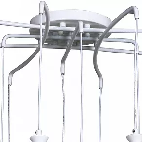 Подвесная люстра Favourite Leo 1722-12P