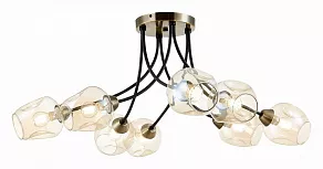 Потолочная люстра EVOLUCE Besano SLE205302-08